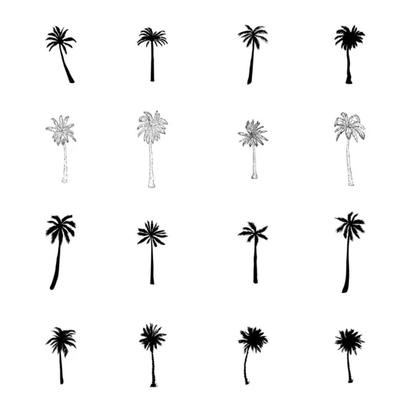 Coconut Palmier Mis Icône Dans Style Vectoriel Dessiné Main Isolé Illustrations De Stock Libres De Droits