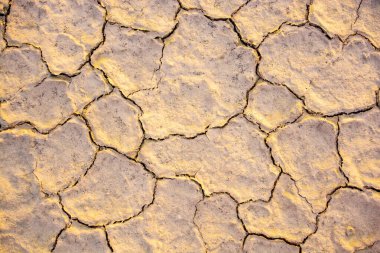 Kıtlık bölgesi düzeni