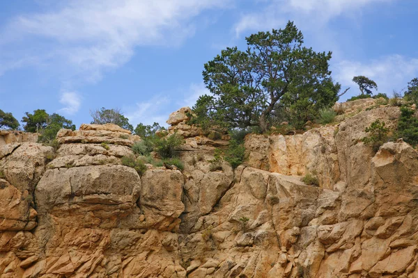 Út a grand kanyon 3 — Stock Fotó