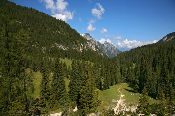 Widok Sesto, Dolomity - Włochy — Zdjęcie stockowe