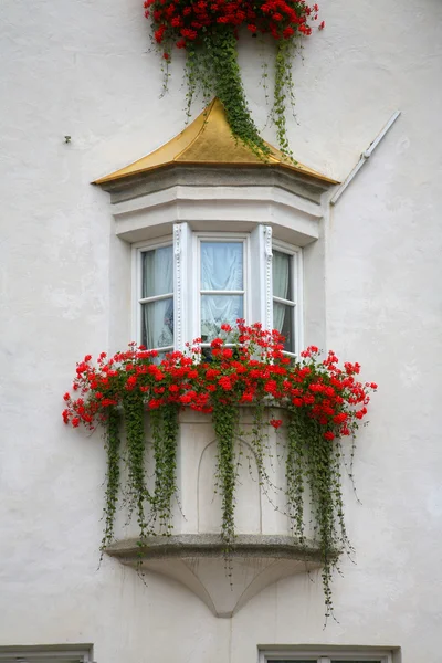 Window in South Tyrol - Italy — Stock Photo, Image