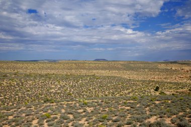 Arizona ABD çöl