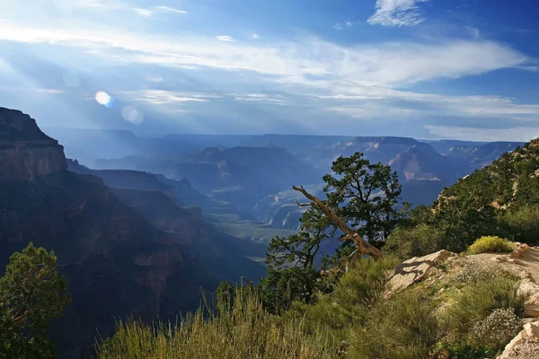 Grand Canyon National Park (South Rim), Arizona USA - View 6 — Stock Photo, Image