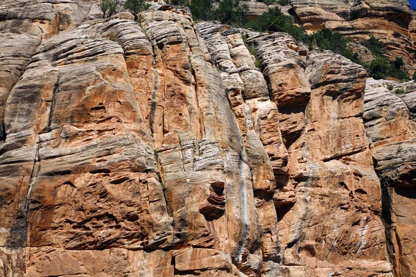 Национальный парк Гранд-Каньон (Саут-Рим), Аризона, США - подробности — стоковое фото