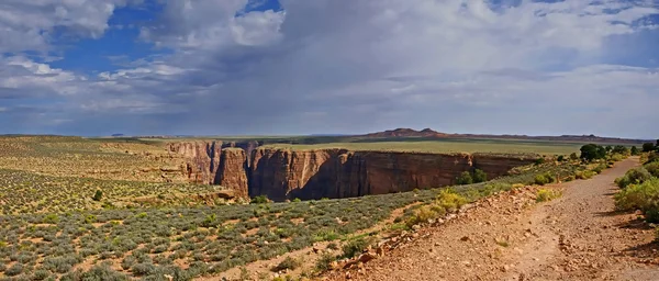 Arizona-sivatagban - Usa 2 — Stock Fotó