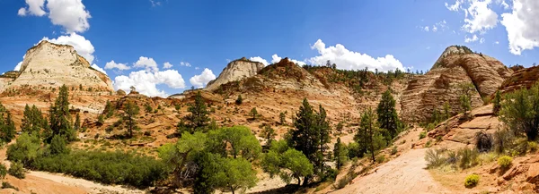 Zion canyon Nationaalpark, utah — Stockfoto