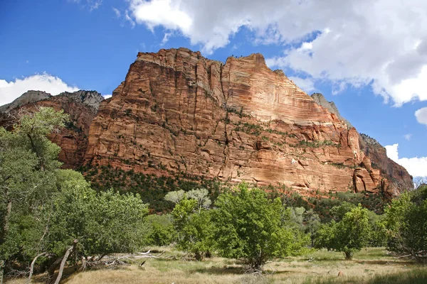 Parco Nazionale di Zion - Utah USA — Foto Stock