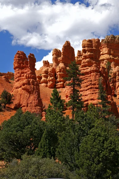 Rzadkie formy skalne Parku Narodowego bryce canyon — Zdjęcie stockowe