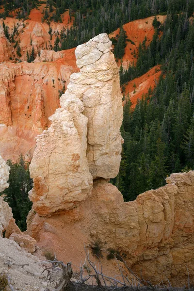 Stora spiror ristade bort av erosion i bryce canyon nationella par — Stockfoto