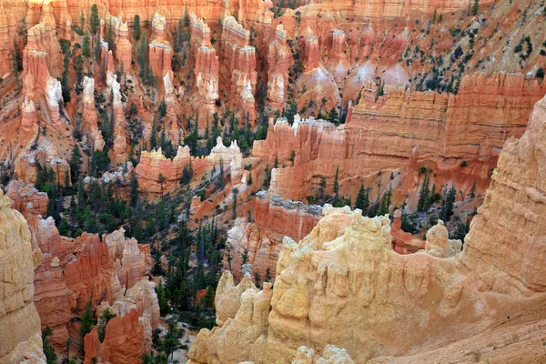 Stora spiror ristade bort av erosion i bryce canyon nationella par — Stockfoto