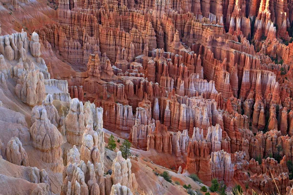 Grote torens weg door erosie in bryce canyon nationale par gesneden — Stockfoto