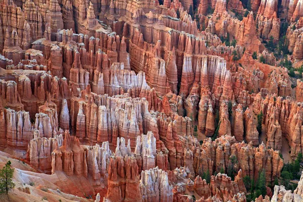 Wielkie wieże od rzeźbione przez erozję w bryce canyon krajowych par — Zdjęcie stockowe