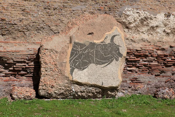 Las ruinas de las Termas de Caracalla en Roma, Italia —  Fotos de Stock