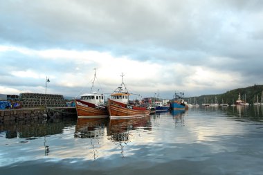 İngiltere'de Batı İskoçya Isle of mull tobermory renkli şehir (ha