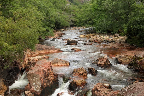 Mountain stream in spring - Scotland — Stock Photo, Image