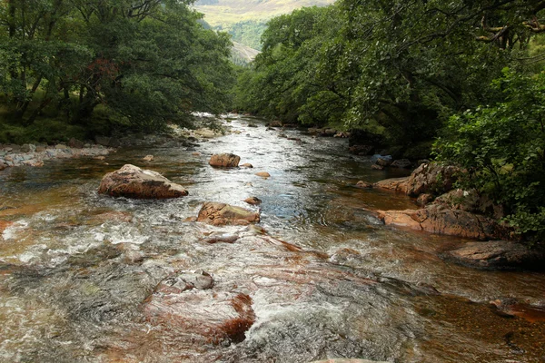 Mountain stream in spring - Scotland — Stock Photo, Image
