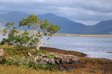 Isle of Mull - Landscape clipart