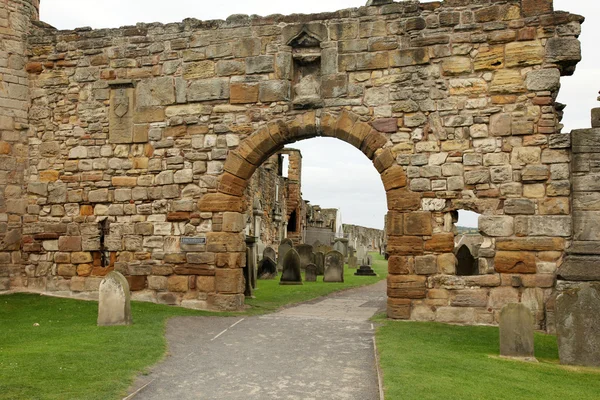 Ruïne van de kathedraal van st andrews in st andrews Schotland — Stockfoto