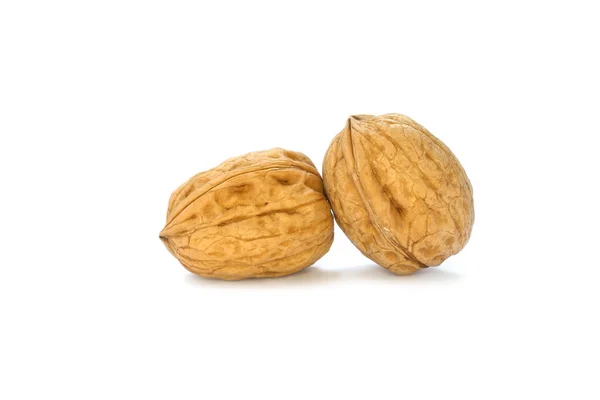 Walnuts on the withe background — Stock Photo, Image