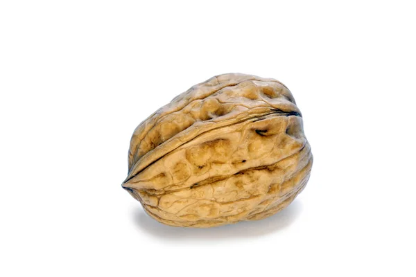 Walnut on the withe background — Stock Photo, Image