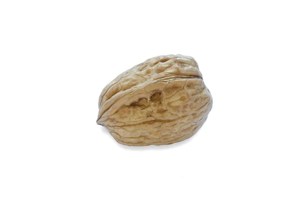 Walnut on the withe background — Stock Photo, Image