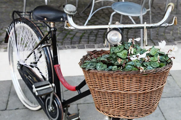 Винтажный велосипед с цветами — стоковое фото