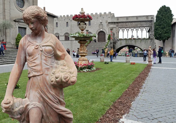 Tentoonstelling "san pellegrino in fiore in viterbo." het evenement in san pellegrino in fiore ziet de historische stad van viterbo — Stockfoto