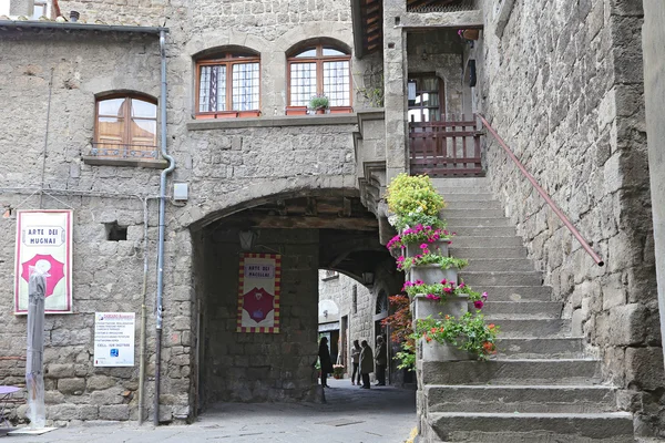 Sergi "fiore içinde viterbo. san pellegrino" fiore içinde san pellegrino olay tarihi şehir Viterbo görür — Stok fotoğraf