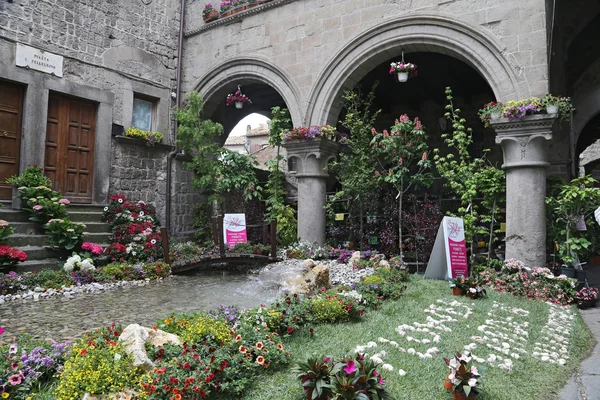Utställningen "san pellegrino i fiore i viterbo." händelsen i san pellegrino i fiore ser den historiska staden viterbo — Stockfoto