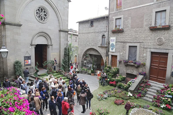 Exposition "San Pellegrino in Fiore in Viterbo". L "événement à San Pellegrino à Fiore voit la ville historique de Viterbe — Photo