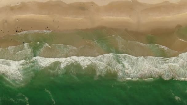 南アフリカのビーチで洗浄波の空中ビュー — ストック動画