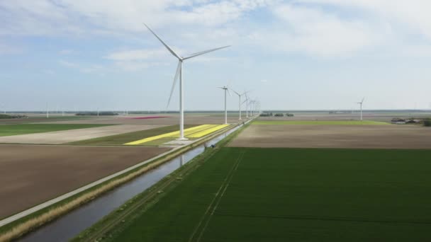 Windräder Auf Feldern Flevoland Niederlande — Stockvideo