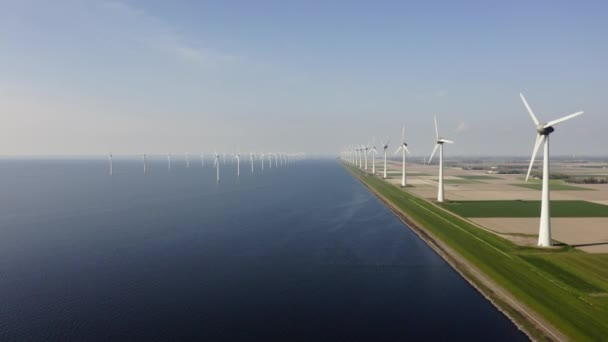 Wind Turbines Fields Sea Flevoland Netherlands — Stock Video