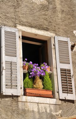 Çiçekli eski pencere