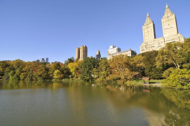 Central park