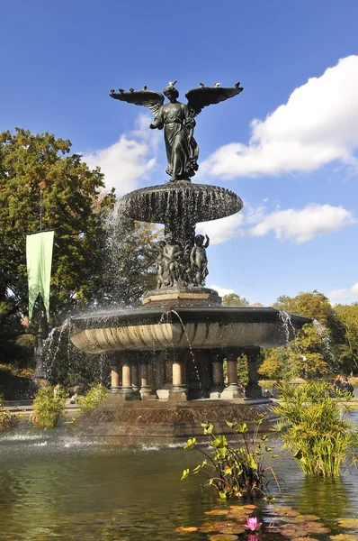 Fuente en Central Park, Nueva York —  Fotos de Stock