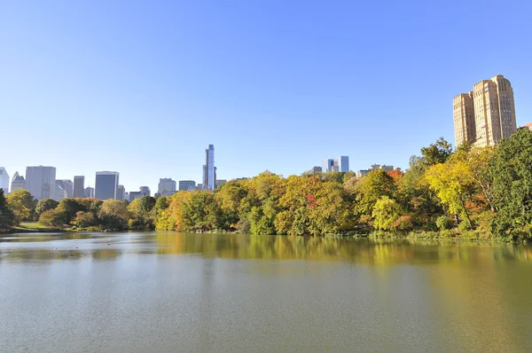 Central Park Nueva York —  Fotos de Stock