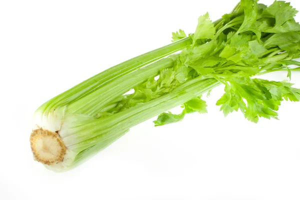 Fresh green celery isolated on white background — Stock Photo, Image