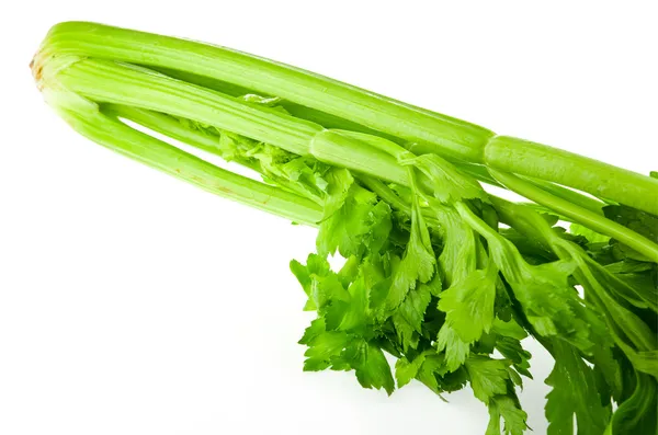 Fresh green celery isolated on white background — Stock Photo, Image