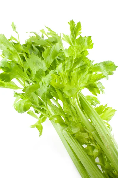 Fresh green celery isolated on white background — Stock Photo, Image