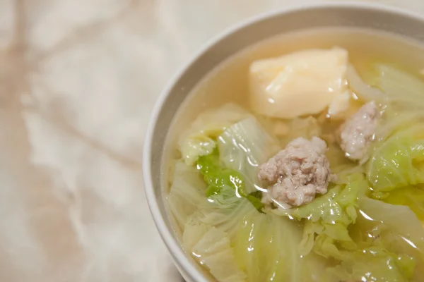 Soupe aux légumes, tofu et porc — Photo