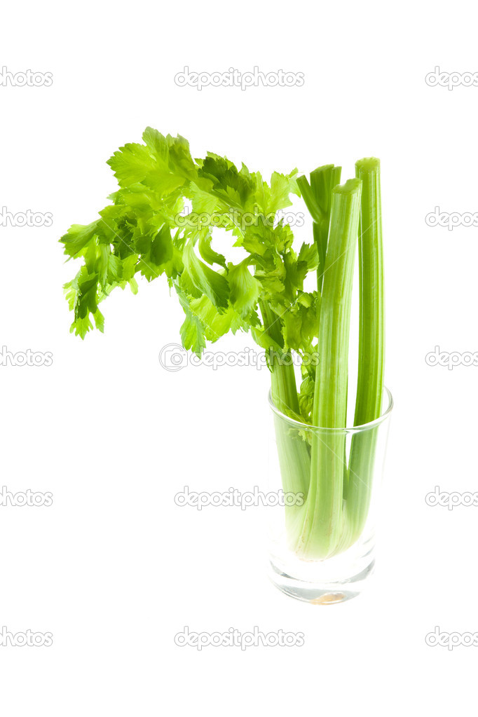 fresh green celery in glass isolated on white background