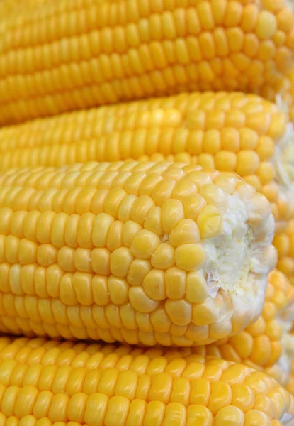 Зерна жовтої стиглої кукурудзи — стокове фото