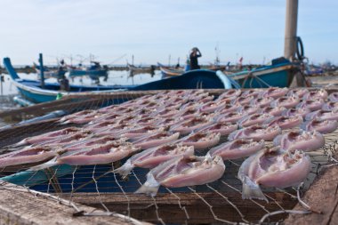 Güneş altında kurutulmuş balık