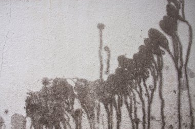 Çimento duvar doku yüzey arka plan