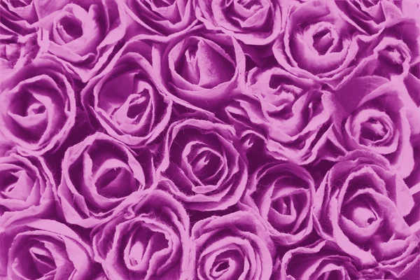 Rosa textura roxo fundo — Fotografia de Stock