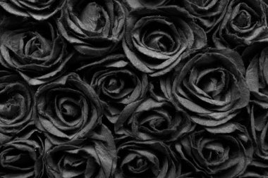 abstract rose surface texture background