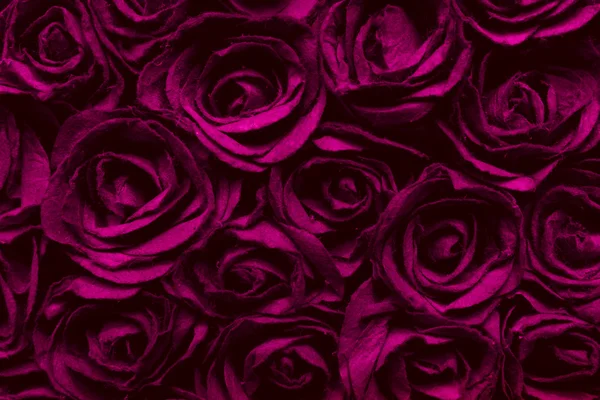 Abstract red rose surface texture background — Stock Photo, Image