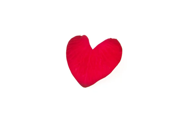 Bela de pétala de rosas vermelhas em forma de coração isolado no whit — Fotografia de Stock