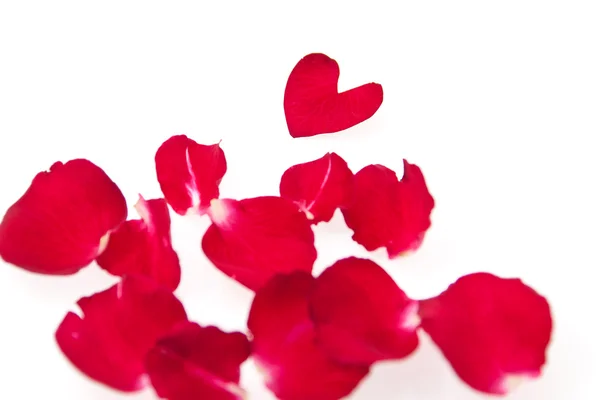 Bella di petali di rose rosse a forma di cuore isolato su whi — Foto Stock